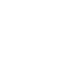 custom_website